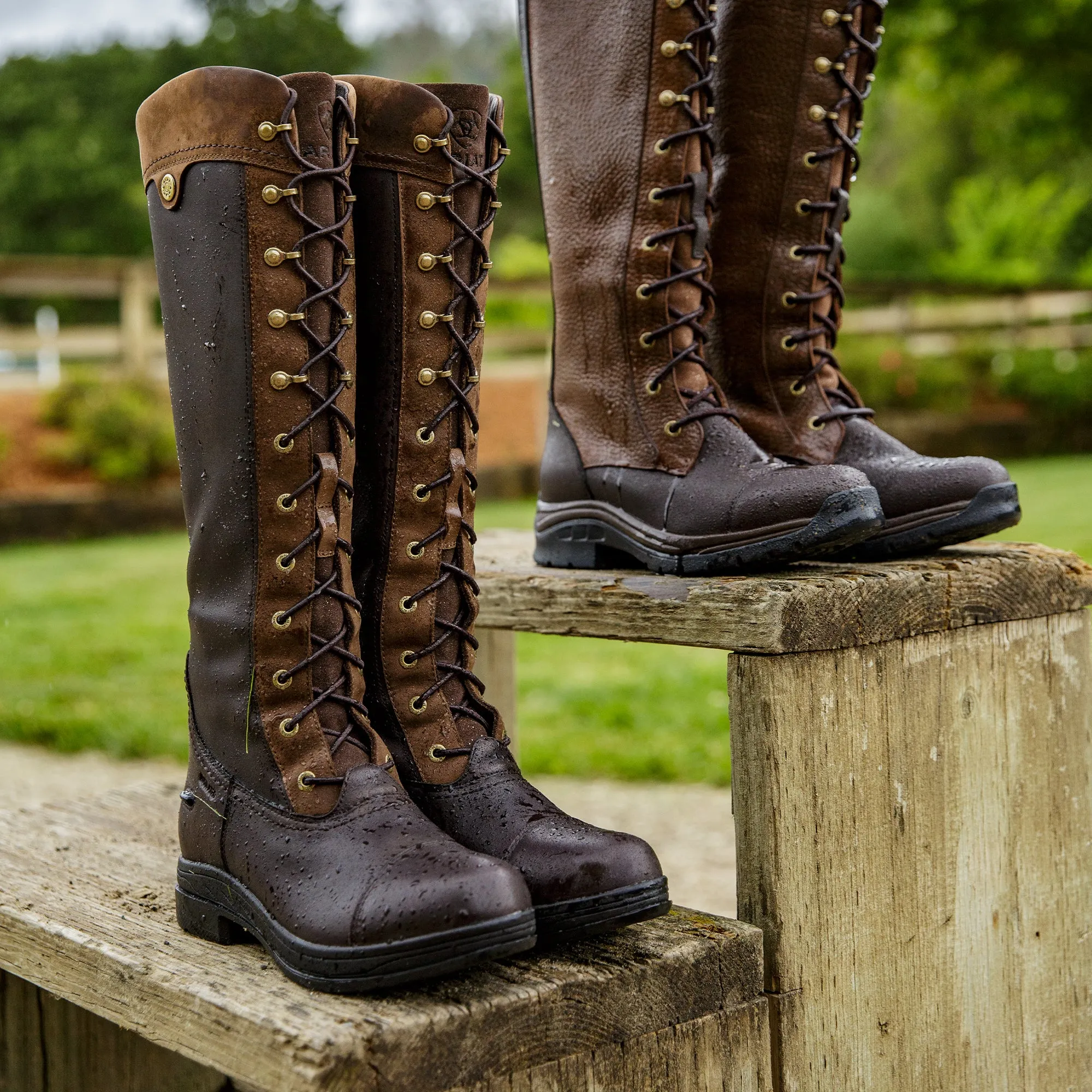 Ariat Coniston Max H20 Boot - Ebony